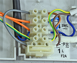 fr maxima 35 s ter mains in.jpg